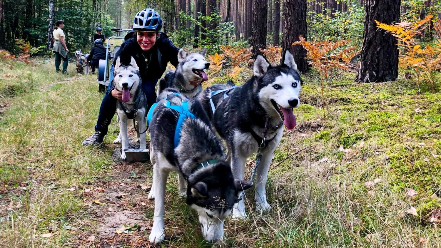 Hundeschlittentour in den Wäldern um Frankendorf
