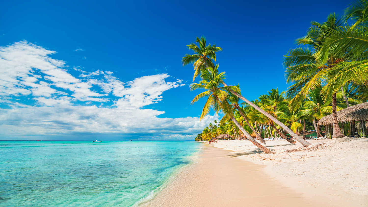Palmen an einem tropischen Sandstrand mit türkisblauem Wasser