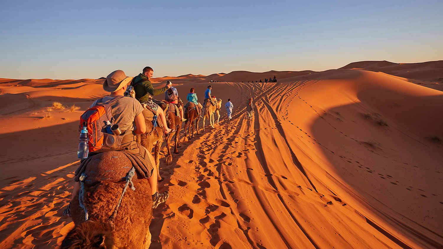 Touristen auf Kamelen in der Sahara