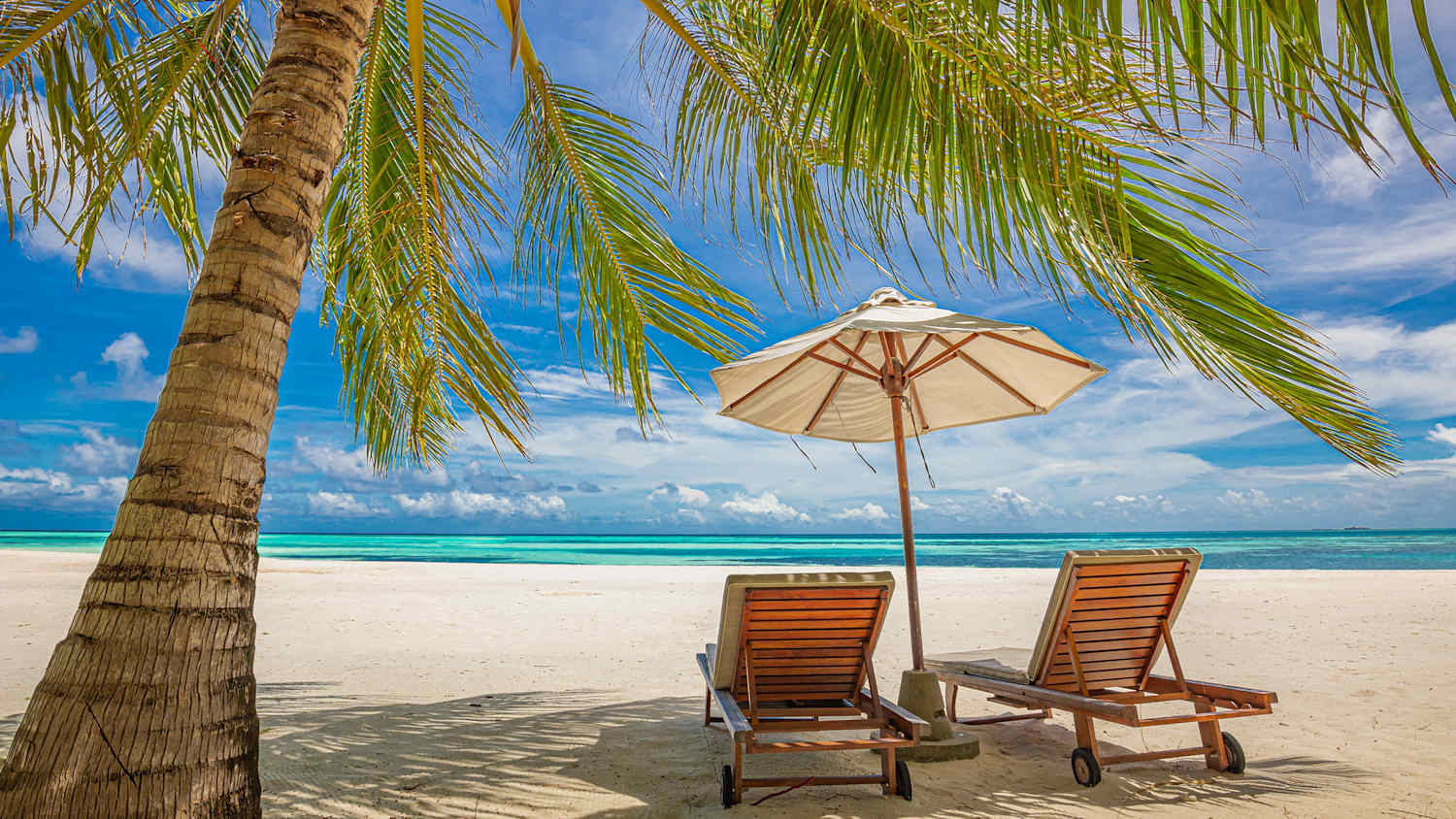 Zwei Liegestühle aus Holz unter einem Sonnenschirm an einem leeren Sandstrand mit Palme und blauem Wasser im Hintergrund