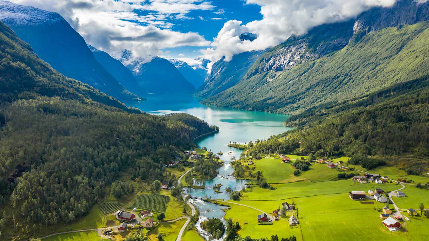 Blick von oben auf einen Fjord in Norwegen mit bewaldeten Hängen und einem sehr grünen Gelände mit ein paar Häusern im Vordergrund