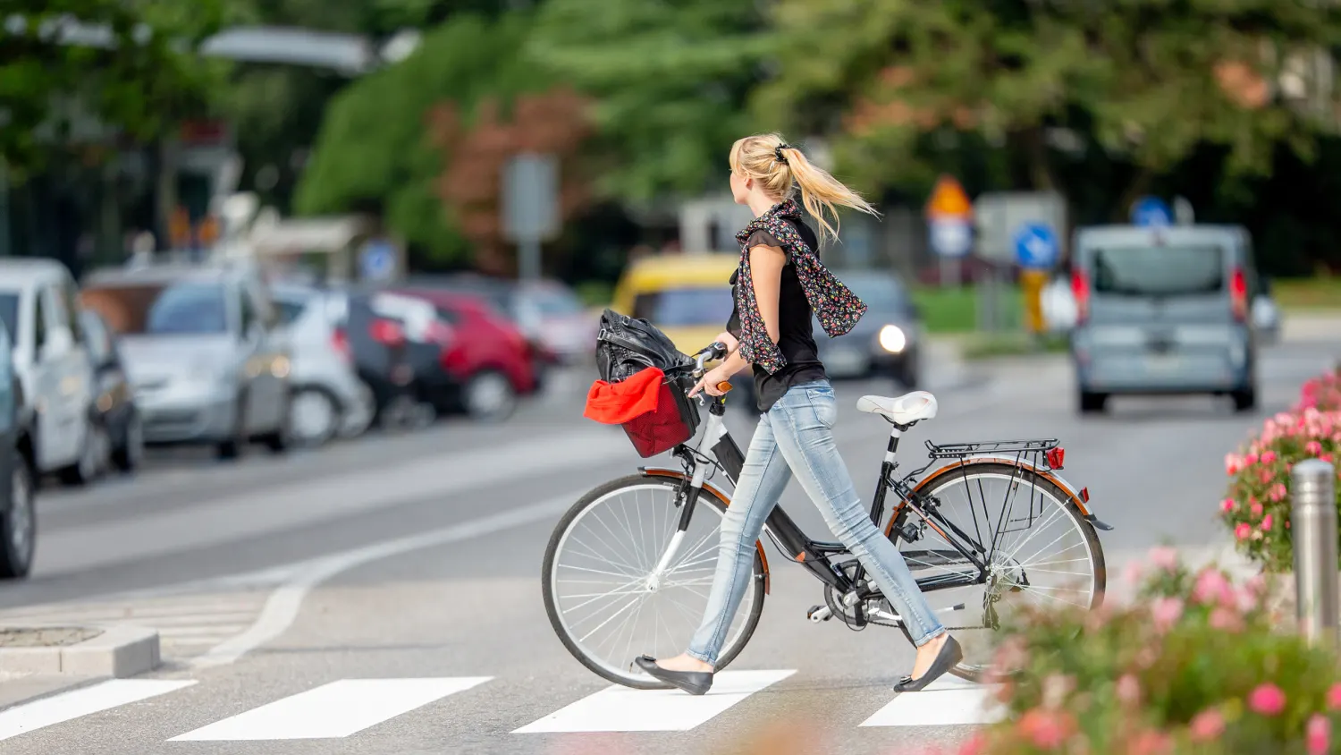 Animation Wirklichkeit Taktik fahrrad am zebrastreifen Runden Horn Höflich
