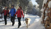 Familie mit Hund wandert über schneebedeckten Wanderweg im Hochschwarzwald