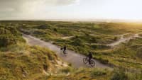 Fahrradfahrer auf Friesland
