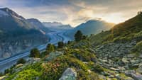 Panorama vom Aletschgletscher in der Bergwelt der Schweiz