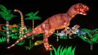 Zwei Dinosaurier Ausstellungen auf dem NYC Wintern Lantern Festival