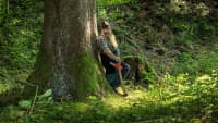 Ein Mann Mit einer Axt lehnt gegen einen Baum im Wald