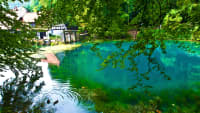 ein Blaugrüner See zwischen Bäumen