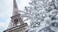 Weihnachtsbaum mit Schnee bedeckt in der Nähe des Eiffelturms in Paris, Frankreich
