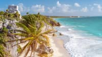 Eine Palme mit Blick auf das Karibische Meer in der Riviera Maya in Mexiko