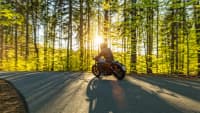 Motorradfahrer im Wald, schöner Sonnenuntergang