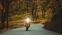 Motorrad fährt auf einer Strasse durch einen Wald