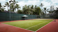Blick auf einen Tennisplatz mit Palmen im Hintergrund.