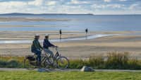 Radfahrer am Küstenradweg auf der Insel Terschelling in den Niederlanden