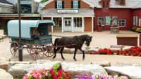 Kutsche mit Pferd im Upper Canada Village