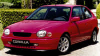 Compact Compact