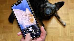 Ein Hund wird mit der Lupe-App mit einem Smartphone nach Zecken gescannt