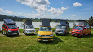 Fünf Campingbusse stehen auf einer Wiese