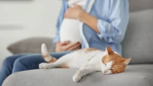 Eine schwangere Frau sitzt auf dem Sofa und hält sich den Bauch. Vor ihr liegt eine Katze auf dem Sofa.