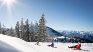 Rodeln am Wallberg im Winter