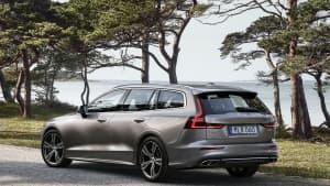 Ein Vovo V60 steht auf einer Strasse am Meer, im Hintergrund vor dem Wasser, stehen Pinien.