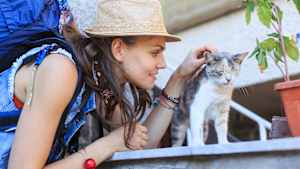 Eine Backpackerin streichelt eine Straßenkatze