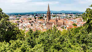 Stadtpanorama von Freiburg mit Freiburger Münster