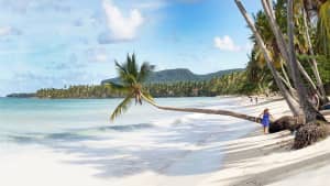 Palmenstrand in der Dominikanischen Republik vor der Halbinsel Samana