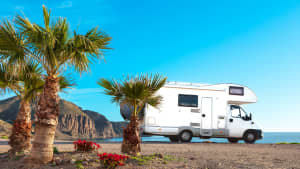 Wohnmobil neben Palmen in Andalusien