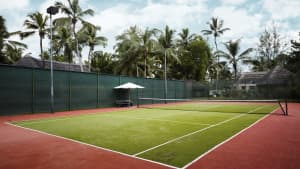 Blick auf einen Tennisplatz mit Palmen im Hintergrund.