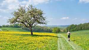 Ein Mann wandert im Frühling auf einem Wanderweg in Deutschland