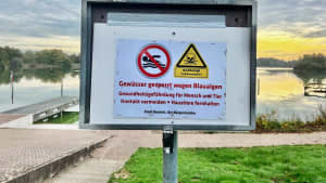 Ein Schild welches vor den Blaualgen am Bocholter Aasee warnt