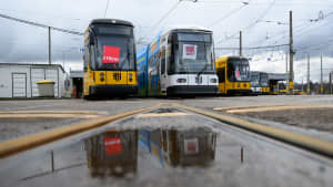 Straßenbahnen in Dresden stehen auf einem Gleis