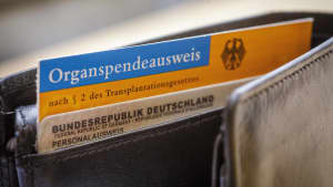Organspendeausweis in einem Geldbeutel
