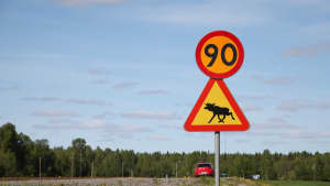 Ein Tempolimitschild in Schweden