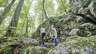 Natur schlägt Kultur: Ein Wanderung an den Steinkammern im Westerwald