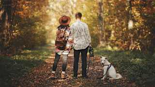 Ein Paar steht mit süßem Hund im sonnigen Herbstwald.