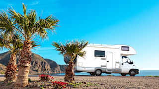 Wohnmobil neben Palmen in Andalusien