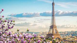 Paris und den Eiffelturm über die Blüten eines Mangnolienbaumes