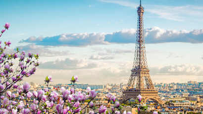 Paris und den Eiffelturm über die Blüten eines Mangnolienbaumes