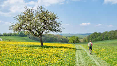 Ein Mann wandert im Frühling auf einem Wanderweg in Deutschland