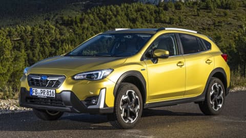 XV