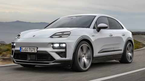 Macan