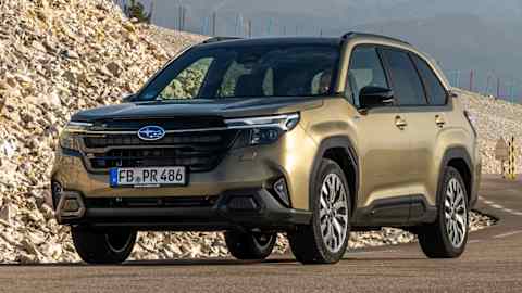 Forester