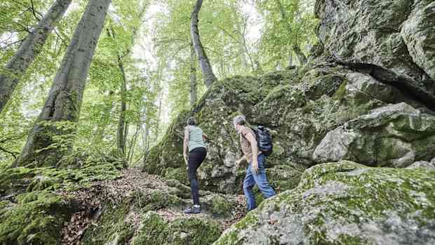 Natur schlägt Kultur: Ein Wanderung an den Steinkammern im Westerwald