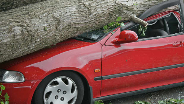 Baum auf Auto gestürzt