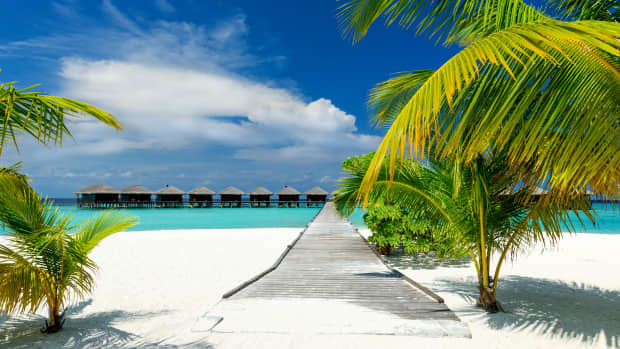 Strand mit Palmen und Meer
