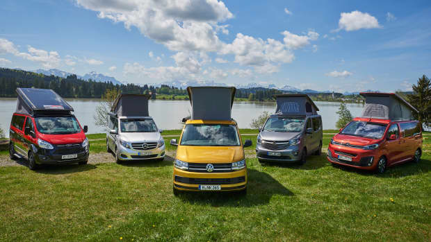 Fünf Campingbusse stehen auf einer Wiese