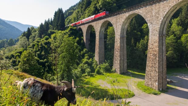 Eine Ziege frisst vor dem Ravennaviadukt im Schwarzwald