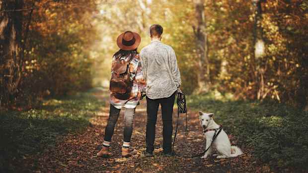 Ein Paar steht mit süßem Hund im sonnigen Herbstwald.